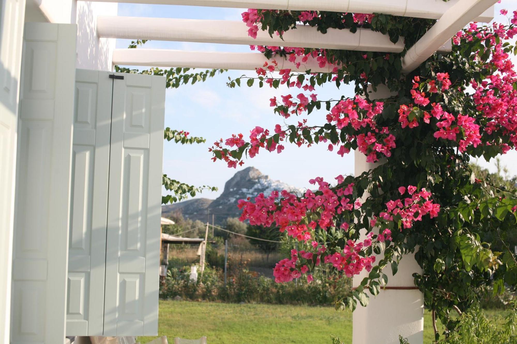 Tiepolo Skyros Apartman Kültér fotó